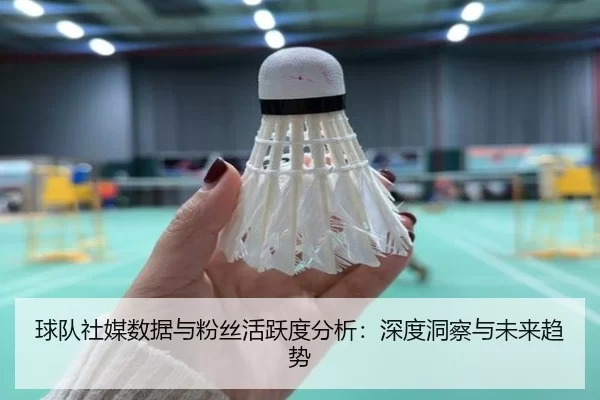球队社媒数据与粉丝活跃度分析：深度洞察与未来趋势