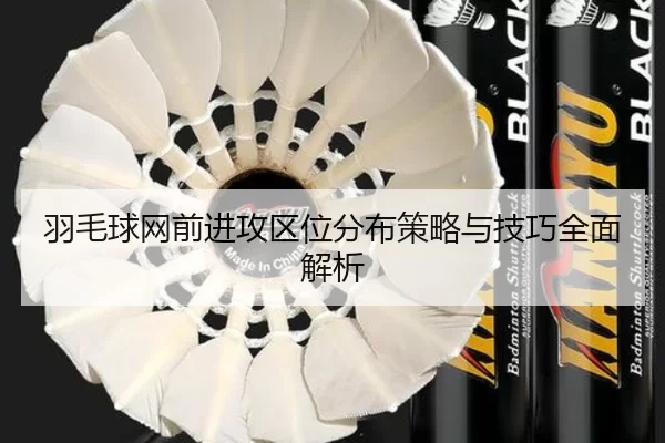 羽毛球网前进攻区位分布策略与技巧全面解析